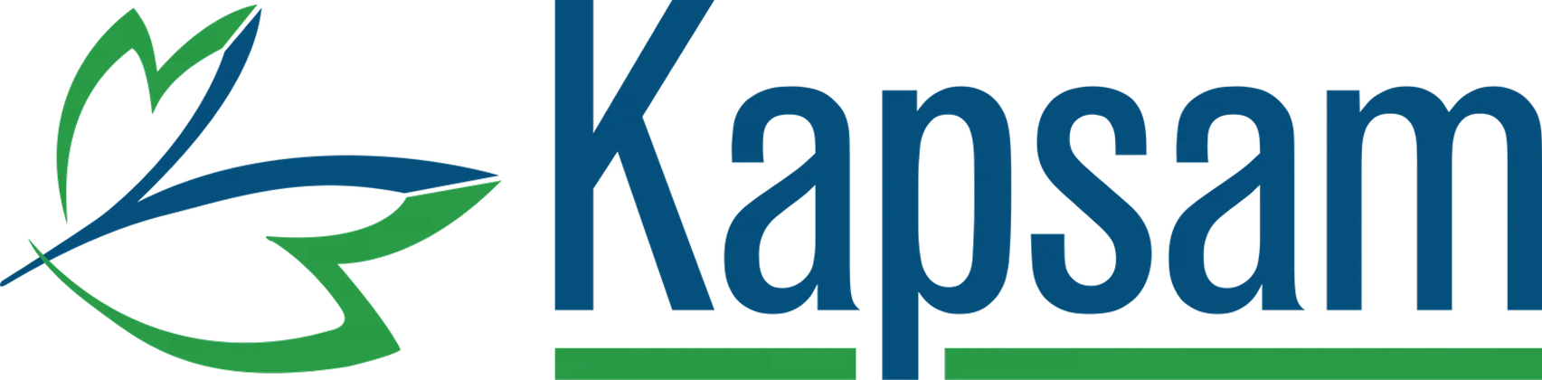 Kapsam